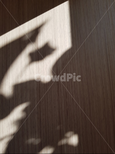 wood,나무,그림자,어둠,밝음,햇살