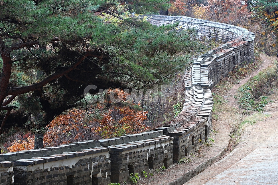 남한산성,성,성곽,단풍,낙엽,길,둘레길,숲,숲길,담,돌담,가을,자연,풍경,벽,울긋불긋,산성,식물,가을,계절,fall,autumn,season