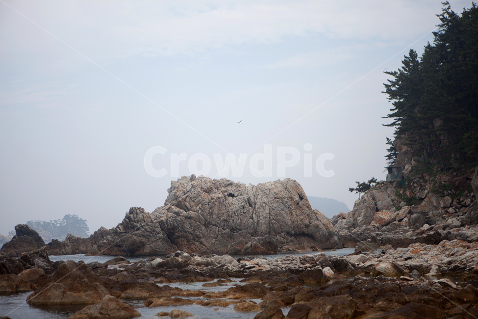 sea,wave,ocean,horizon,nature,바다,암초,파도,수평선,rock,바위,돌,동해,삼척,장호항,자연,풍경,nature,landscape