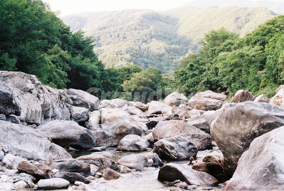 nature,자연,mountain,나무,tree,산,풍경,landscape,scenery,outdoors,자연,풍경,nature,landscape