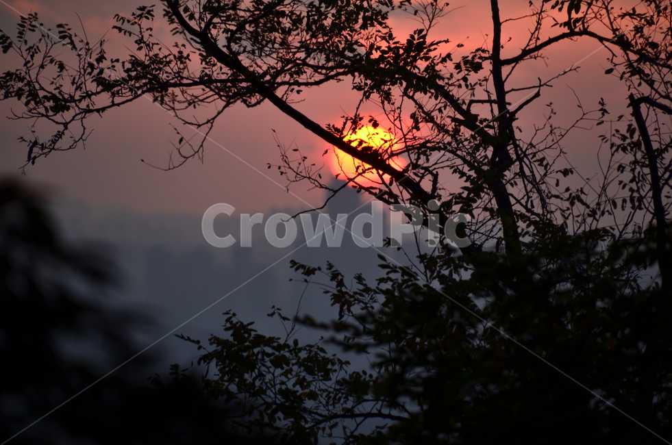 자연,붉은하늘,황혼,일몰,남산,해넘이,sunset