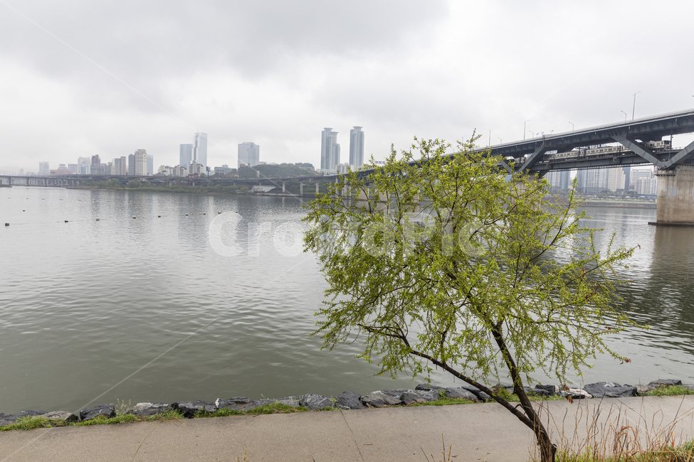 한강,다리,비,봄,산책,브리지,river,rain,spring,park,bridge