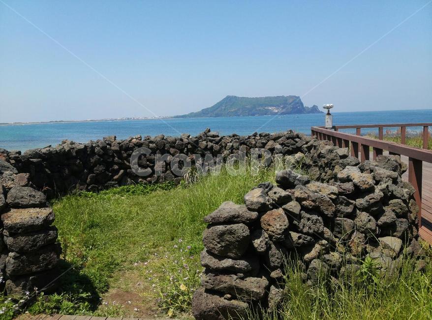 제주도,돌담,바다,풍경,돌