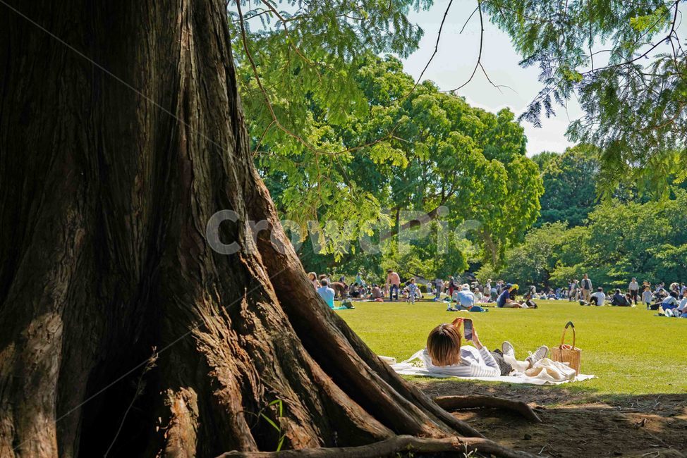 나무,힐링,휴식,계절,봄,따뜻함,초록,소풍,피크닉,tree,healing,rest,season,spring,warm,green,picnic,사람,인물,인간,human,person,여행,휴가,traveling,vacation,trip,휴식,힐링,rest,relaxation,healing
