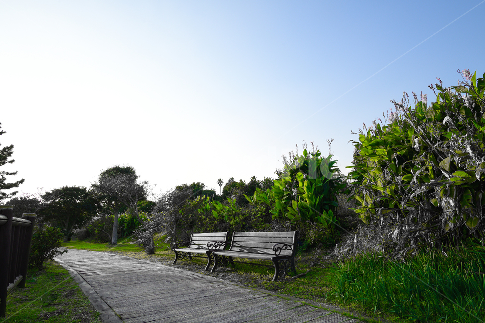 제주도,의자,산책,쉼터,하늘,자연,풍경,nature,landscape,bench,벤치