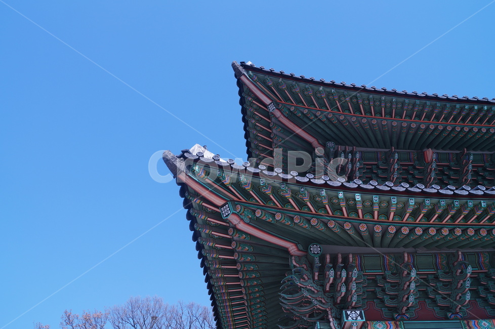한옥,창덕궁,창경궁,지붕,기와,한국전통,한국문화,korean traditional,korean culture,건축물,건물외관,exterior,building,structure,architecture,construction