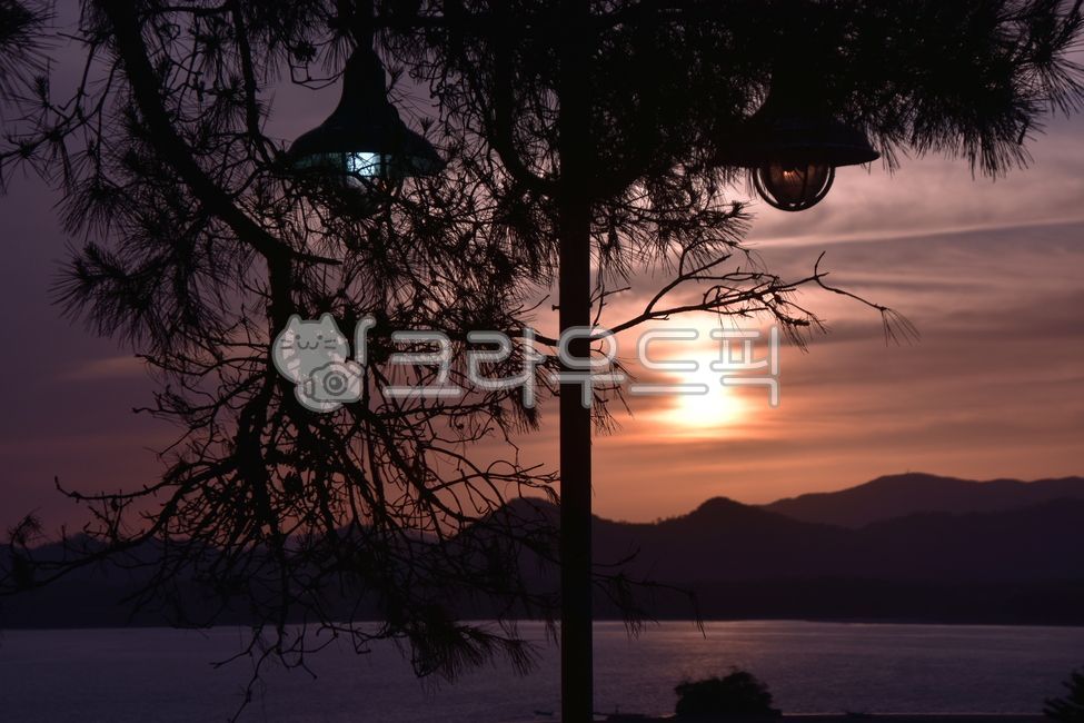 flare, 플레어, light, 빛, nature, 사진,이미지,일러스트,캘리그라피 - vista작가