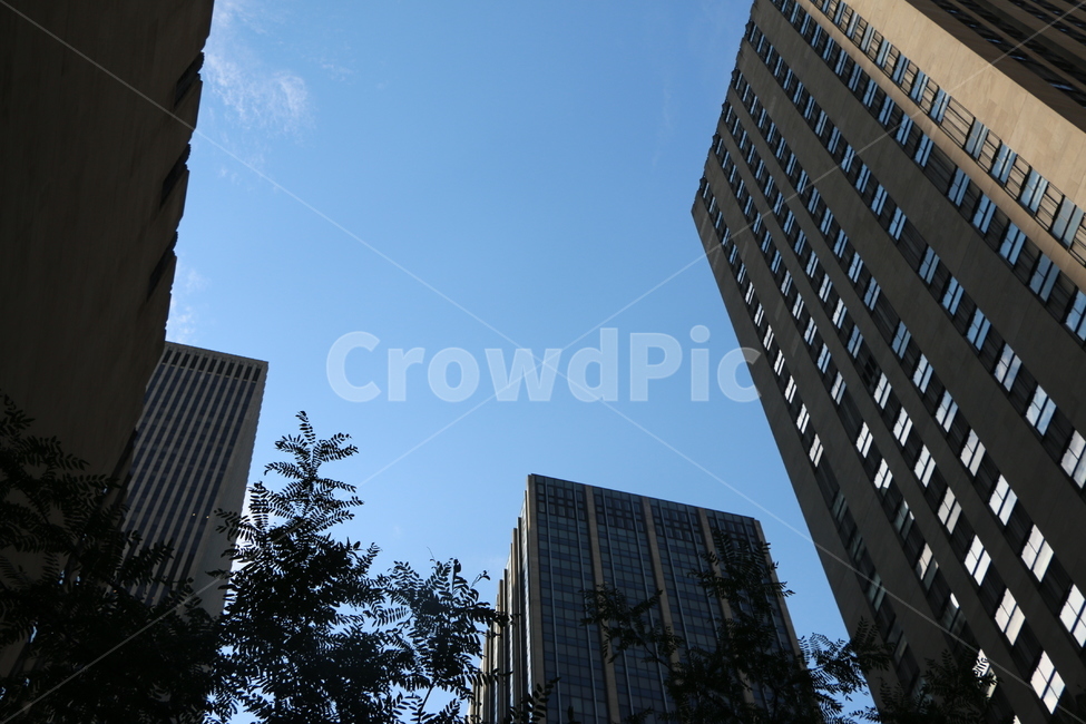 뉴욕,newyork,미국,건축,건물,뉴욕5번가,뉴욕거리,하늘,나무,도시,풍경,city,landscape,해외,외국,세계,foreign,oversea,world,세계도시풍경,해외도시풍경,외국도시풍경,world cityscape,building,office building,사무실 건물