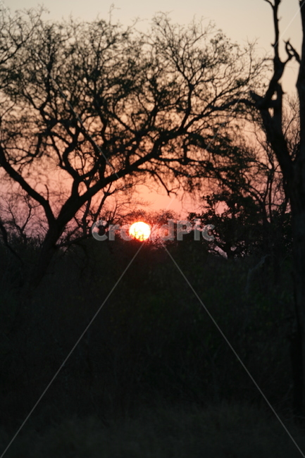 nature,자연,outdoors,옥외,dusk,붉은하늘,redsky,새벽,dawn,황혼,sunset,일몰,sky,하늘