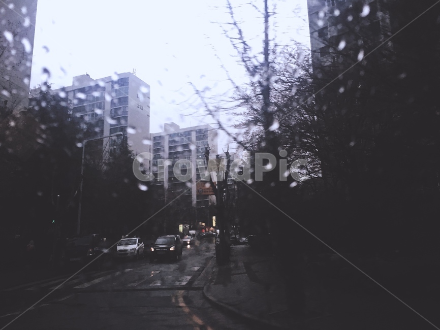 비오는날,비오는거리,비,감성사진,rain,raining,어두운,비,비오는날,rain,rainy