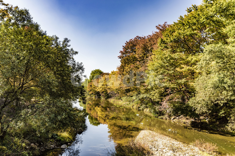 풍경,가을,감성,반영,가을숲,냇가,가을,계절,fall,autumn,season,자연,풍경,nature,landscape,ditch,도랑,water,물