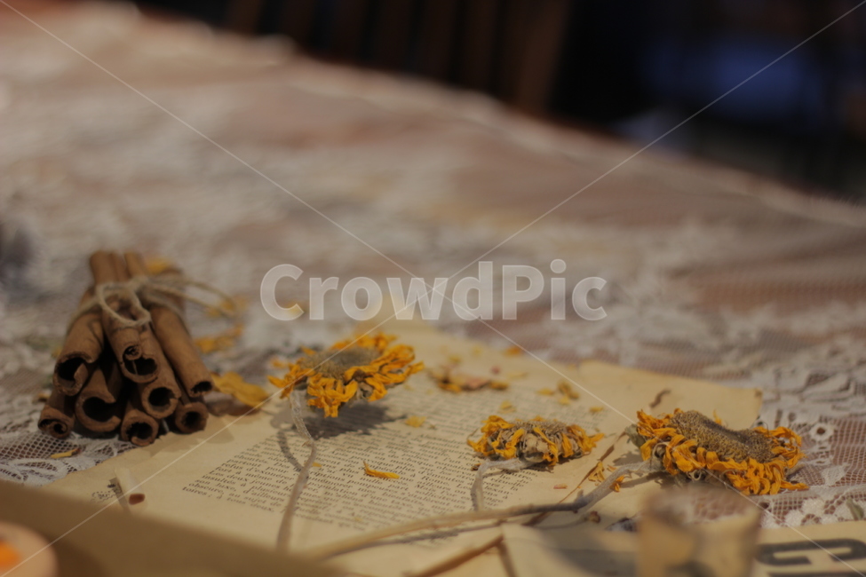 sunflower,table,book,계피,해바라기,책상,책,꽃잎,노랑,나무,식물,plant