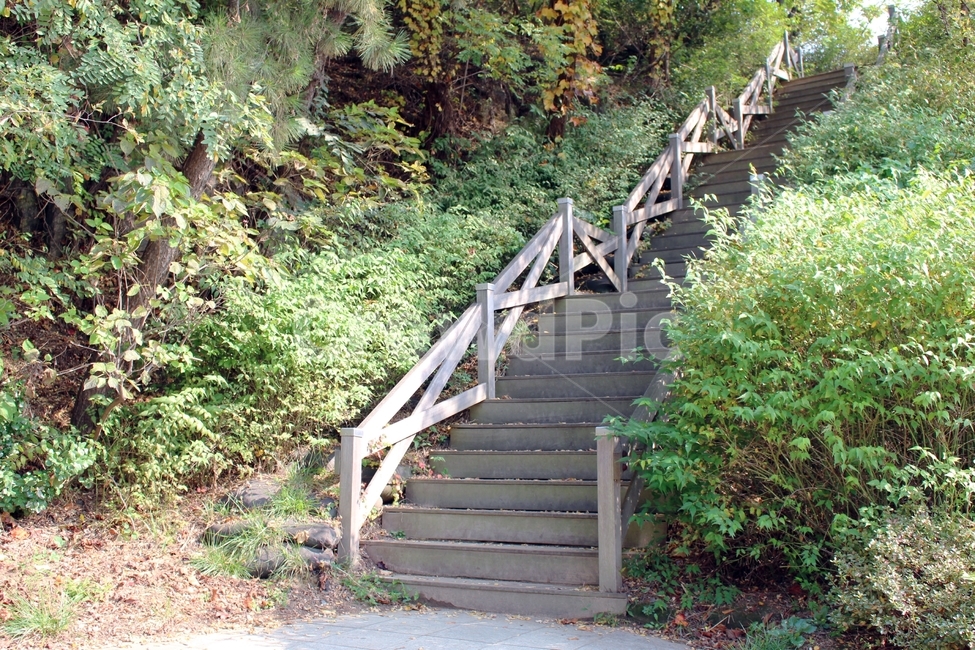 등산로입구,산책로입구,등산길계단,산책로,등산로계단,등산로,산속계단