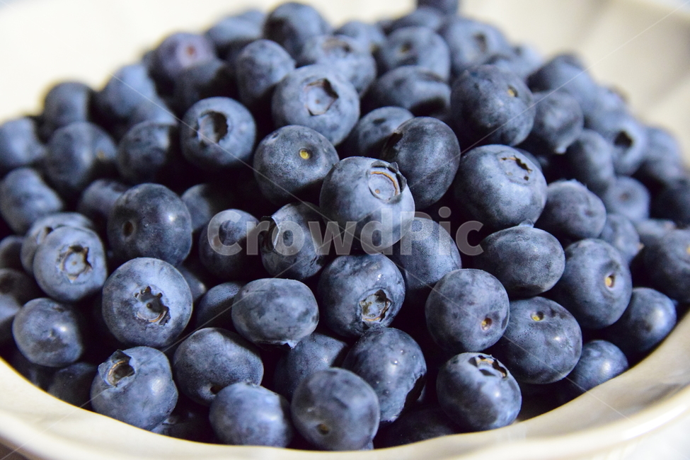 블루베리,베리,과일,열매,과실,씨없는과일,씨없는열매,blueberry,fruits,맛있는,보라색열매,진보라색,과일,열매,fruit