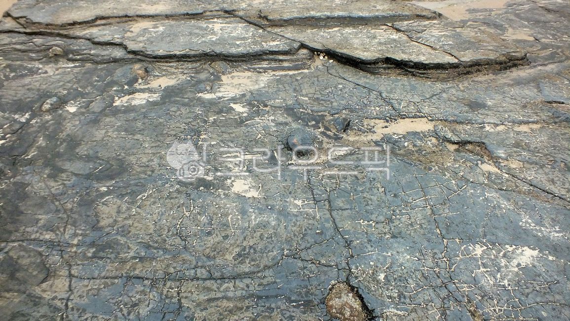 부안채석강,명승제13호,전북,부안,채석강,해식애,건열,해식대지,변산반도,扶安,彩石江,乾裂,名勝,mudcrack,scenic,site,nature,자연,명승,제13호,명승13,rock,록