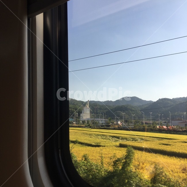 기차,여행,밖,풍경,꽃밭
