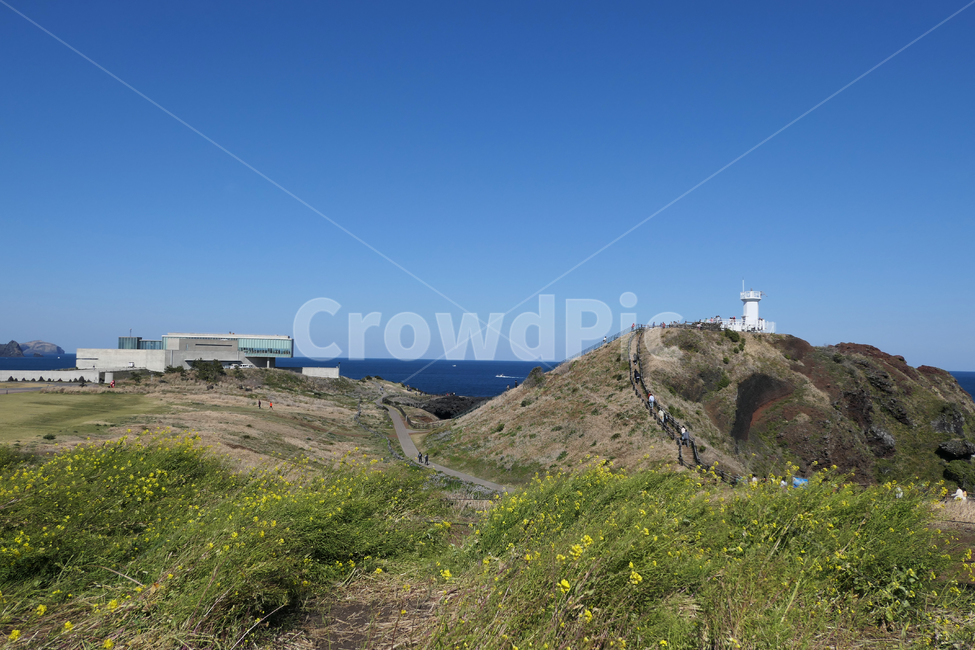 cheju,제주도,유채꽃,섬,rapeblossoms,island,자연,풍경,nature,landscape
