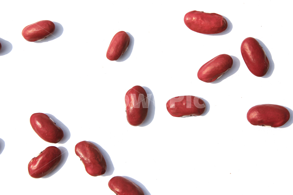 붉은콩,bean,콩,redbean,brown,closeup,dry,food,protein,red,seed,uncooked,vegetable,white,흰배경,야채,붉은색,빨강,말린,단백질,씨앗,요리재료,식재료,요리,음식,음식,식재료,요리,food,cook,meal,dishes,food reserves,콩류,견과류,beans,pulse,nuts,dry fruits,누끼,remove background