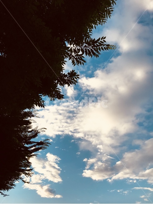 가을,하늘,풍경,구름,양떼구름,자연환경,자연,풍경,nature,landscape,light,빛,flare,플레어
