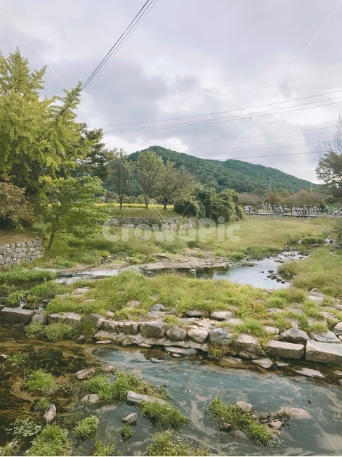 고즈넉,분위기,강,나무,시골,자연,풍경,nature,landscape,식물,plants,나무,trees,wood,outdoors,옥외,water,물