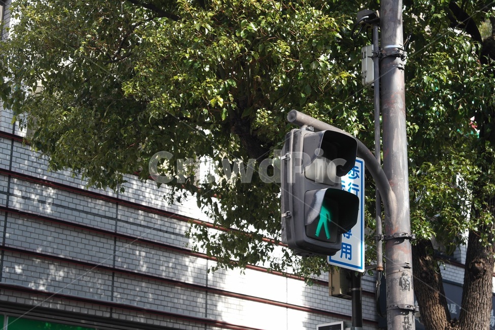 횡단보도,빛,아침빛,아침,신호등,교통,교통수단,traffic,transportation