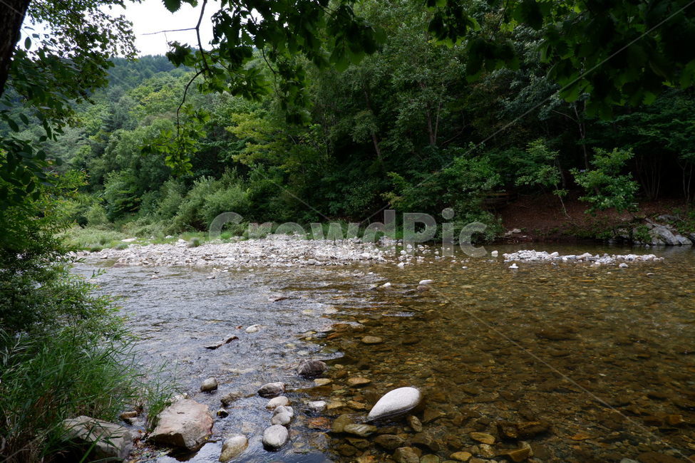 water,물,nature,자연,outdoors,옥외,계곡,자연,풍경,nature,landscape