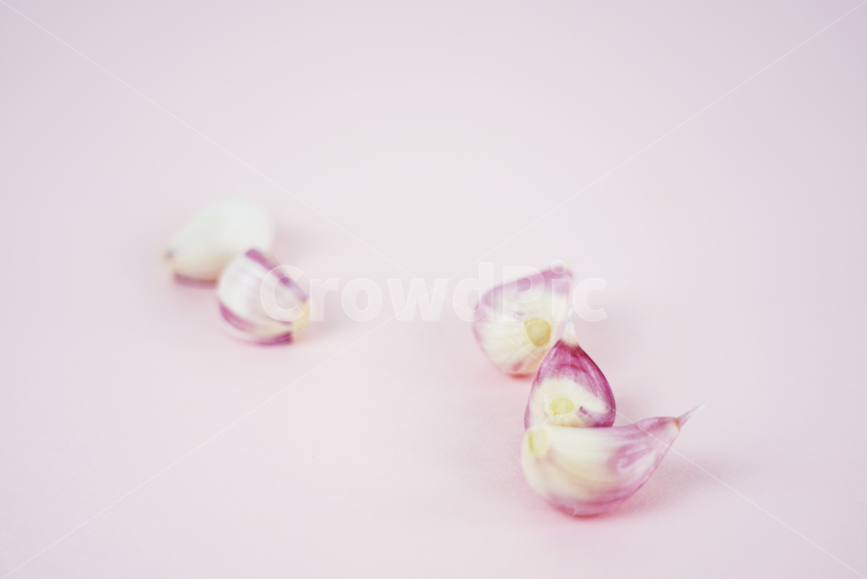 마늘,음식,식품,요리재료,음식재료,식재료,양념,한식,통마늘,재료,농작물,음식,식재료,요리,food,cook,meal,dishes,food reserves
