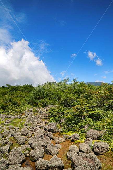 제주도,한라산,1100고지,한라산풍경,1100고지풍경,산,nature,자연,옥외,outdoors,자연,풍경,nature,landscape