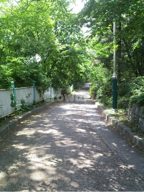 outdoors,arbour,garden,옥외,산책로,여름,여름산책로,자연,풍경,nature,landscape