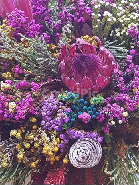 봄,꽃,꽃다발,버건디,만개,FLOWER,봄,계절,spring,season,식물,자연,plants,nature,꽃,flower,vegetation,초목,bush,부시,plant