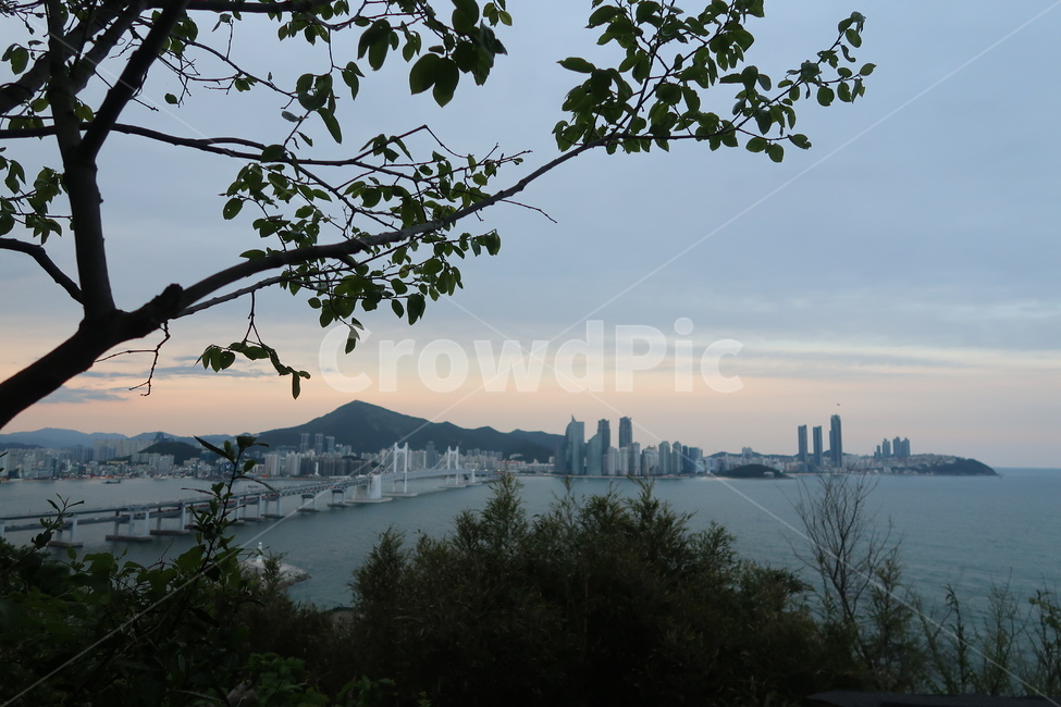 자연,바다,도시,대교,해질녘,nature