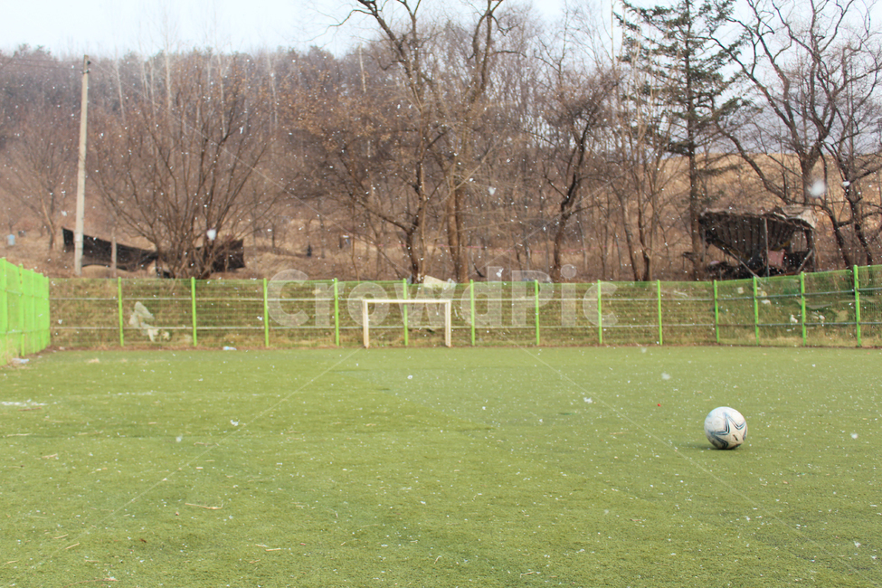 풋살,눈,축구공,축구,잔디,football,soccer,ball,snow,field
