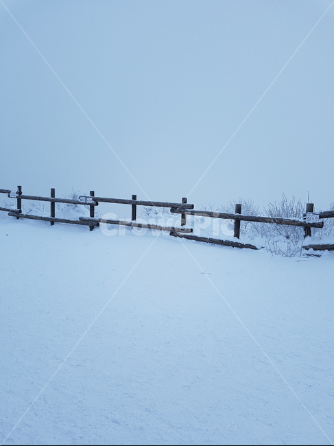 겨울,스키장,눈,자연,snow,눈썰매장,겨울,계절,winter,season,자연,풍경,nature,landscape