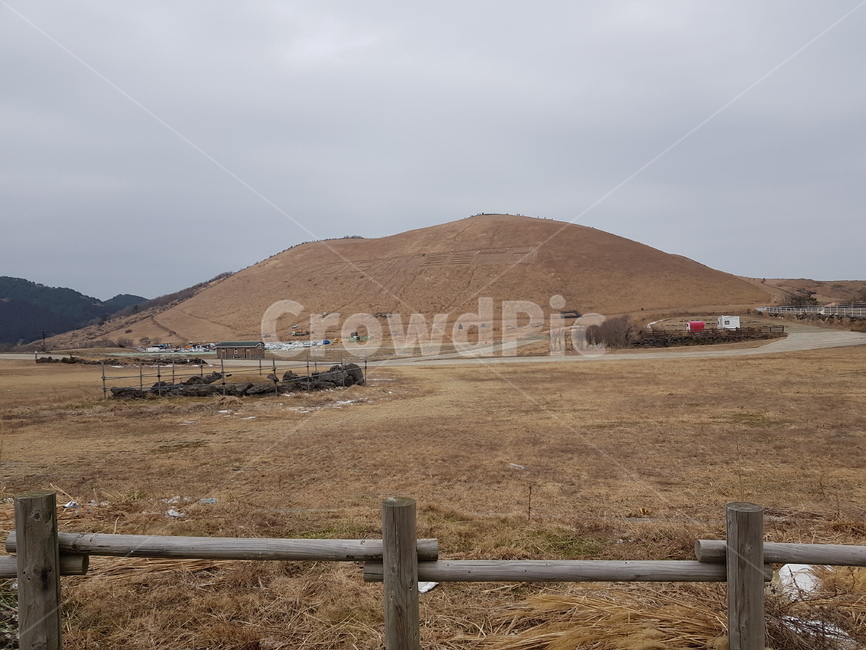 새별오름,오름,제주오름,제주도오름,새별,갈대,산