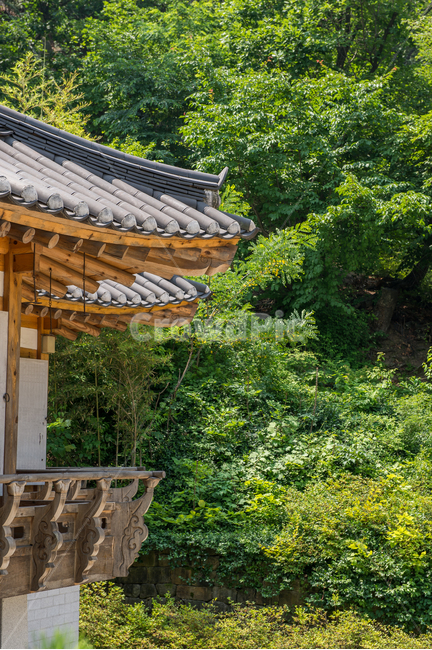 한옥,전통,한국적,기와,처마,그늘,나무,숲,대나무,난간,하늘,파란,푸른,맑음,hanok,house,traditional,korean,eaves,shadow,rooftile,wood,tree,forest,blue,sky,sunny,balustrade,railing,bamboo,여름,summer,시원한,cool,편안한,comfortable,조용한,cozy,silent,고즈넉한,한국전통,한국문화,korean traditional,korean culture,건축물,건물외관,exterior,building,structure,architecture,construction