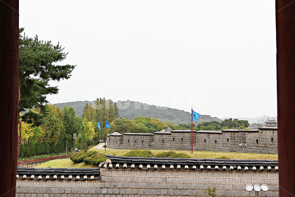 수원화성,성,성곽,길,둘레길,돌담,담,가을,자연,풍경,벽,방어벽,전통,식물,한국전통,한국문화,korean traditional,korean culture