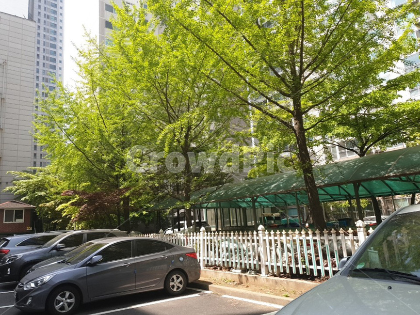도로,햇빛,봄,푸르른,도시,아파트,단지