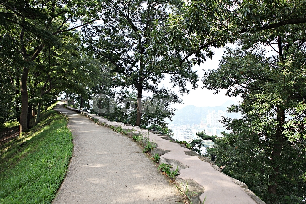 공주산성,성,산성,성곽,길,둘레길,숲,숲길,담,돌담,여름,풍경,벽,방어벽,흙담,나무,식물,유네스코등제