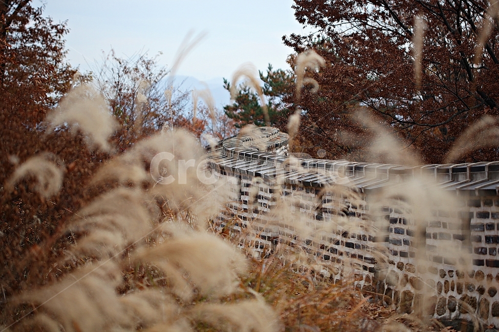 남한산성,성,성곽,단풍,낙엽,길,둘레길,담,돌담,가을,자연,풍경,벽,울긋불긋,산성,식물,숲,숲길,가을,계절,fall,autumn,season