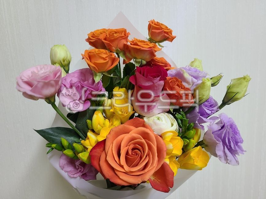 꽃,꽃다발,flower,식물,선물,꽃선물,gift