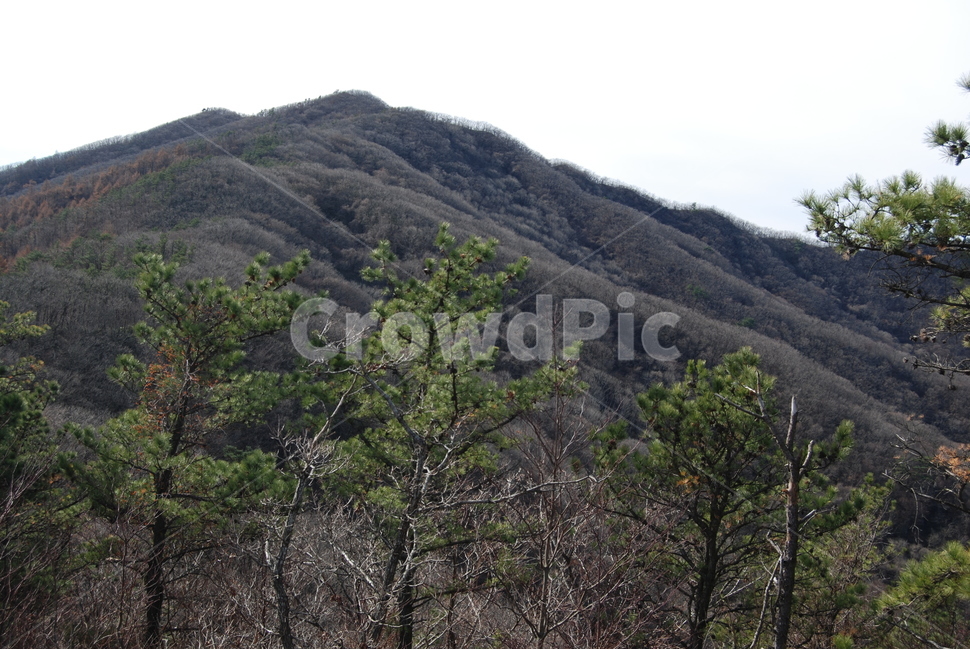 장안산,장수군,100대명산,등산로,능선,나무,자연,풍경,nature,landscape,한국자연풍경,한국자연경관,korea nature landscape,outdoors,옥외,slope,경사