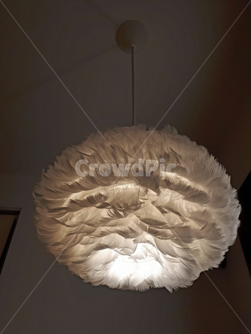조명,전등,실내조명,등,lamp,인테리어,실내디자인,interior design