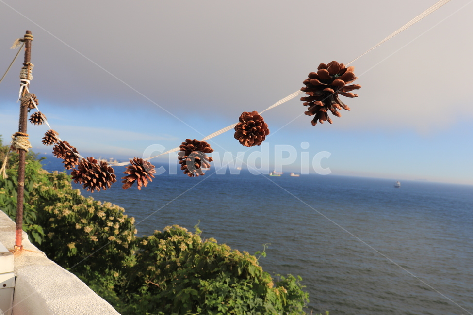 부산바다,영도흰여울,솔방울,솔방울가랜드,풍경,sea,pinecone,garland
