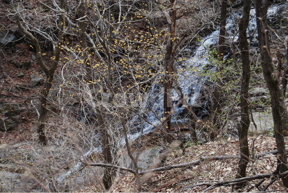 가리산,홍천,휴양림,명산,등산로,자연,풍경,nature,landscape,outdoors,옥외