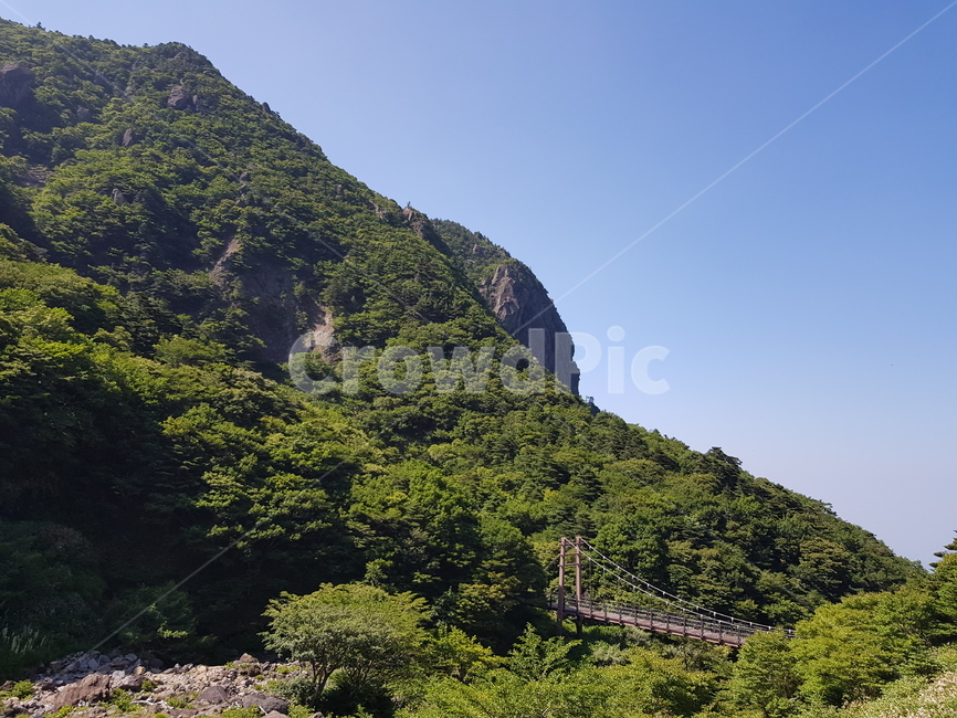 배경화면,자연풍경,경치,한라산,자연배경,등산,나무,산,등산길,제주도,한라산등산,여름,가을,하늘,자연,배경,풍경,멋진경치,nature,언덕,hill,옥외