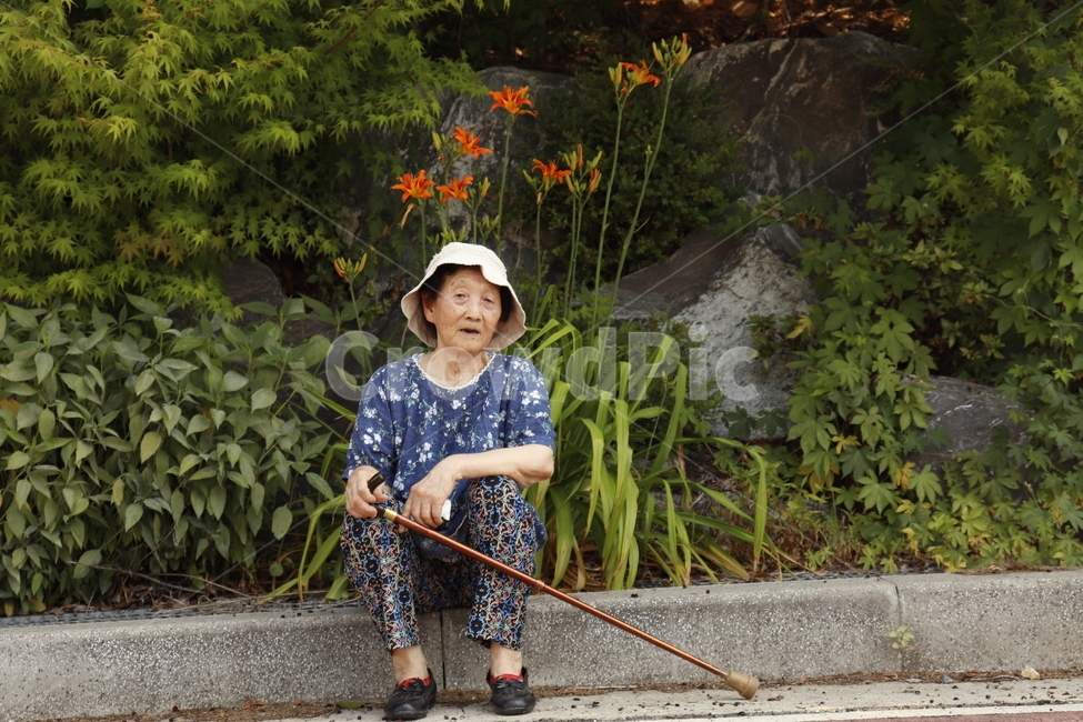 할머니,노인,여성,여자,인물,사람,사람,인물,인간,human,person,노인,어르신,old man, senior citizen