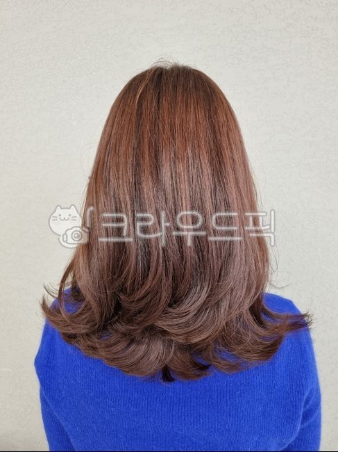 헤어스타일,머리카락,여성,여자,뒷모습,미디엄기장,중간머리,어깨길이,붉은갈색,염색,염색모,펌,웨이브,c컬,레이어드컷,볼륨,뷰티,패션,스타일,미용실,미용,헤어케어,머릿결,긴단발,단발,현대적인,파란색옷,스웨터,실내,초상,익명,트렌디,관리,헤어컷,성인,부드러운,건강한머리,머리색