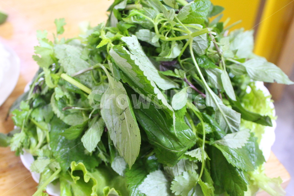 베트남음식,분짜,고수,베트남고수,음식,식물,분짜고수,채소,야채,vegetables