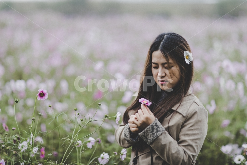 인물,풍경,코스모스,꽃,여자,portrait,landscape,flower,girl,가을,계절,fall,autumn,season,사람,인물,인간,human,person,얼굴표정,facial expression,face,여성,여자,woman,female,lady,감성,sensible,feeling