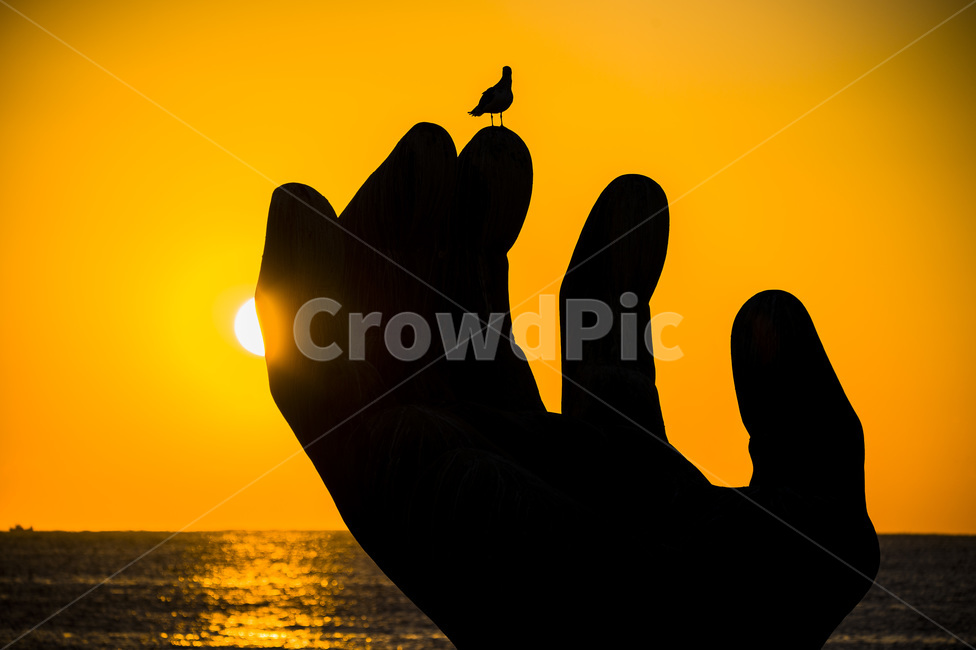 new year sunrise,Homigot,East Sea sunrise,first year,Sunrise